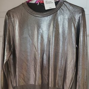 Zara Crop Metallic Top